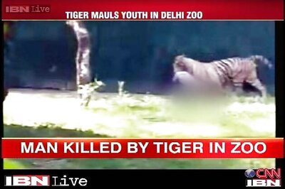 Family of youth killed by tiger blame security guards, seek justice
