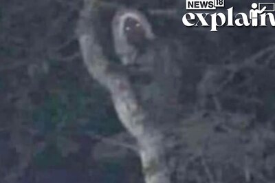 Mexico President Shares 'Proof' of Mythological Creature 'Alux': Mayan Elf 'Which Causes Chaos'