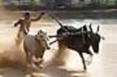 CS Mains Syllabus: Animal Husbandry and Veterinary Science