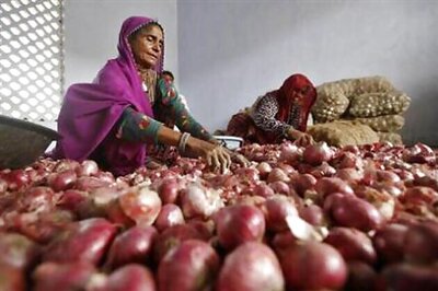 Onion prices at Lasalgaon Mandi fall as kharif crops arrive, down by Rs 12/kg to Rs 30/kg