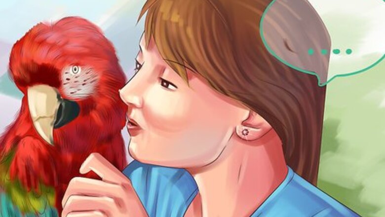 How to Stop a Greenwing Macaw from Biting