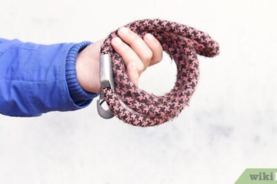 How to Walk a Big Dog