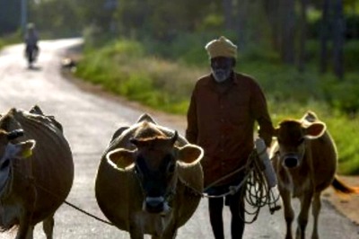 Over 50% Agricultural Families in Debt with Average Loan of Rs 74,121 in 2019: Survey