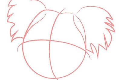 How to Draw Koala Bears