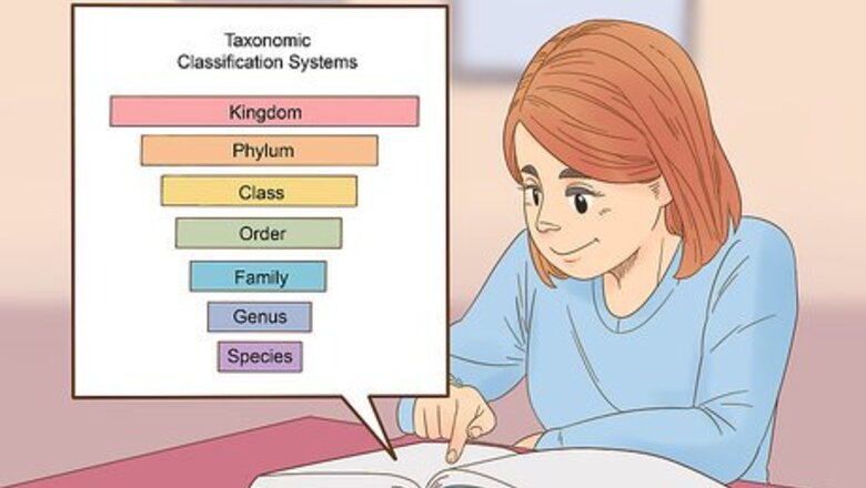 How to Classify Animals