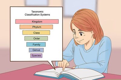 How to Classify Animals