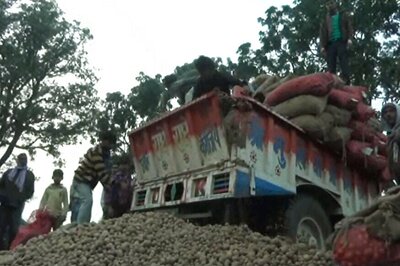 Demonetisation: With No Market, Farmers Forced to Discard Potato Produce