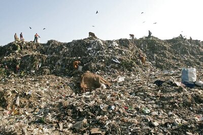 Madras HC to Initiate Criminal Proceedings Against Civic Chiefs over Manual Scavenging Deaths