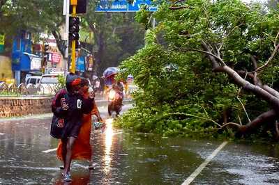 Cyclone Vardah Wreaks Havoc in Chennai, Four Killed