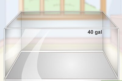 How to Set up a Small Reef Aquarium