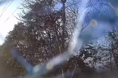 Uttarakhand EV Trial Accident: Missing Rajaji Tiger Reserve Official Found Dead in Canal