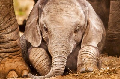 Karnataka Zoo to Teach Wildlife Conservation to School Kids