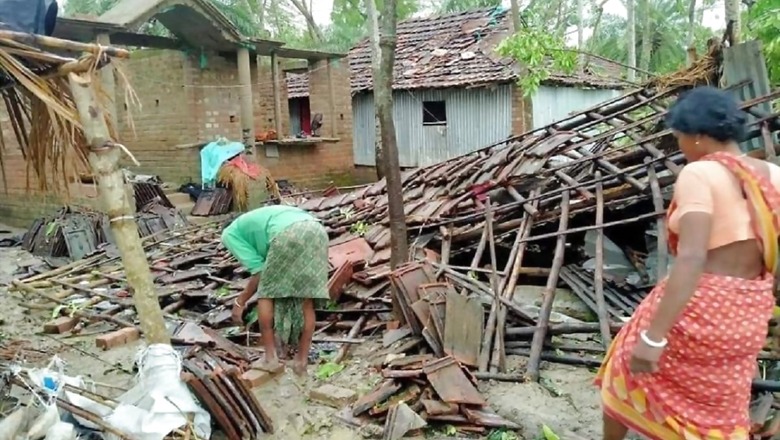 What Happened to Trees Uprooted Trees in Cyclone Amphan, Asks Mamata