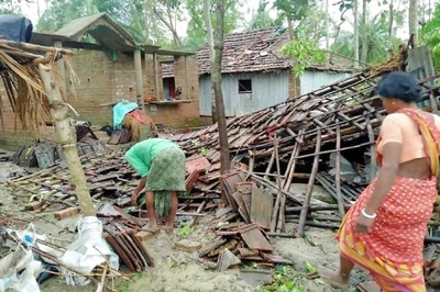What Happened to Trees Uprooted Trees in Cyclone Amphan, Asks Mamata