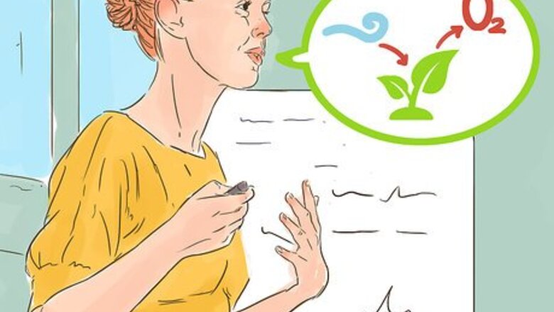 How to Explain Photosynthesis