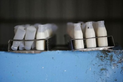 Collectors, Anganwadi Workers to Taste Scheme Milk For Kids in Chhattisgarh