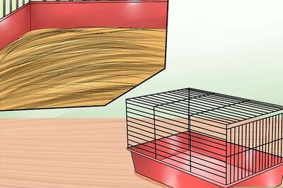 How to Tame Your Chinchilla