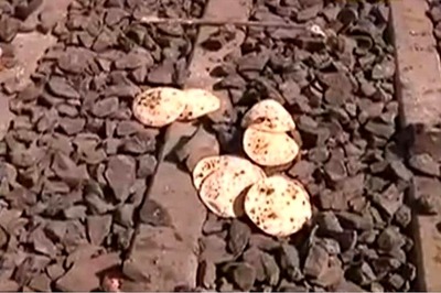 Frantic Shouts Went in Vain, Say Survivors as 16 Migrants Crushed to Death by Train in Aurangabad