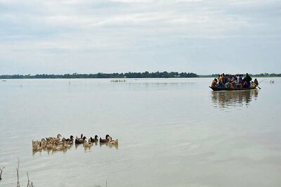 2 Dead in Assam Floods, Kaziranga National Park Inundated