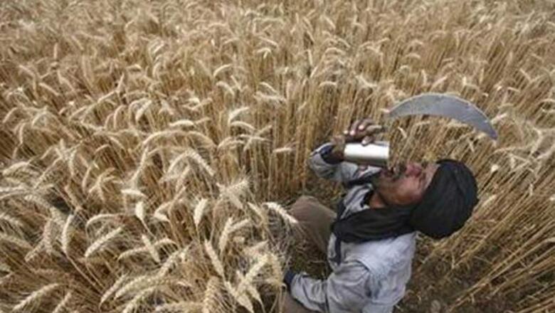 FCI assistant grade-III recruitment for 6545 positions open, last date Sep 19