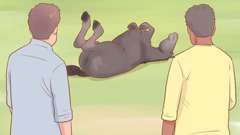How to Uncast a Horse