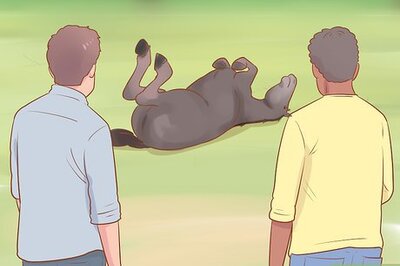 How to Uncast a Horse