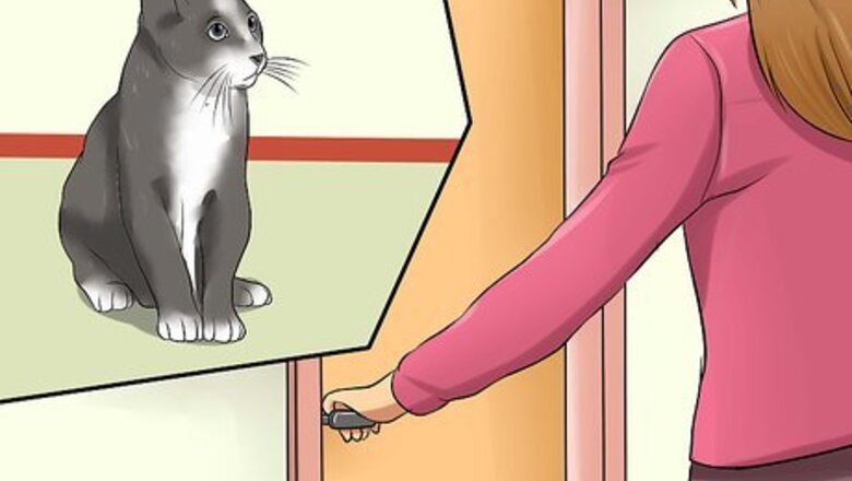 How to Keep a Cat Calm During Fireworks