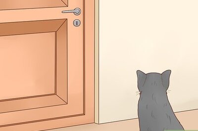 How to Keep Cats out of Rooms