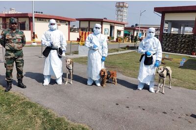 Indian Army Trains Indigenous Dogs to Sniff Out Coronavirus in Seconds
