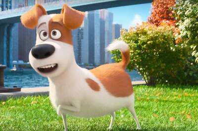 Feeling Homesick? Try Pet Therapy