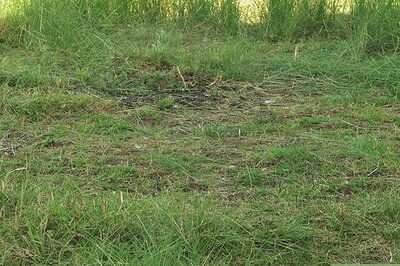 How to Have a Bonfire