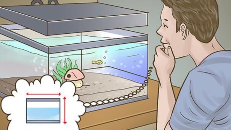 How to Pick Freshwater Plants