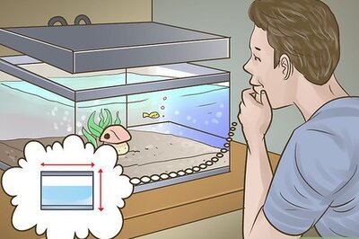 How to Pick Freshwater Plants