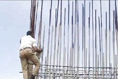 Hyderabad Cop Rescues Cat Stuck in Iron Rods of Uppal Elevated Corridor