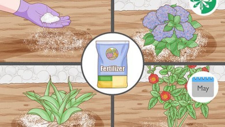 How to Fertilize Flowers
