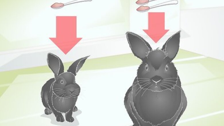 How to Choose Rabbit Treats