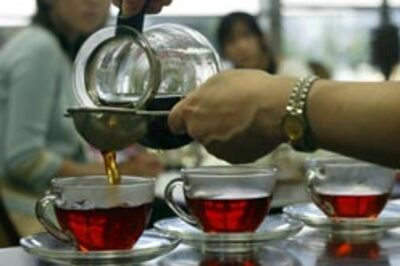 Tea is good but without milk!