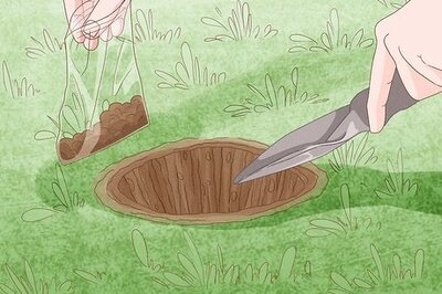 How to Grow a Luxurious Lawn from Seed on Hard Dirt