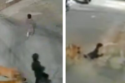 Kid Attacked By Pack of Stray Dogs In Punjab's Bathinda Colony | Video