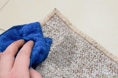 How to Get Stains Out of Carpet