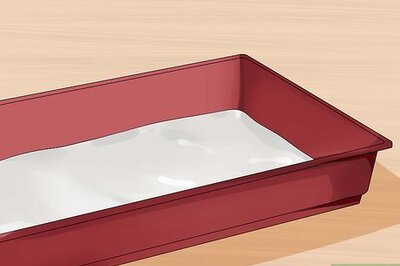 How to Treat Bumblefoot in Guinea Pigs