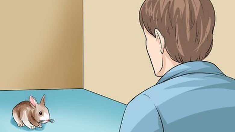 How to Teach a Rabbit Not to Scratch