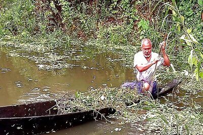 Forest Man of India Strives to Make Mexico Greener, Country Grants Him Visa for 10 Years