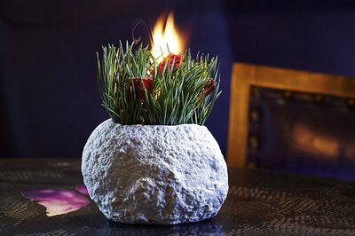 Cocktails Around the World are Going to Get Sustainable: Industry Experts