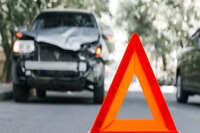 Gujarat Man Files FIR Against Himself After Wife Dies In Car Crash Involving Stray Dog