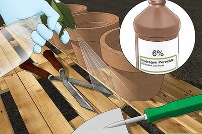 How to Use Hydrogen Peroxide in the Garden