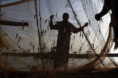 Agriculture Minister, Kerala CM discuss trawler fishing ban issue