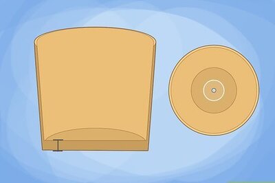 How to Care for a Croton Petra