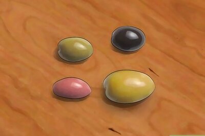 How to Grow an Olive Tree from a Pit