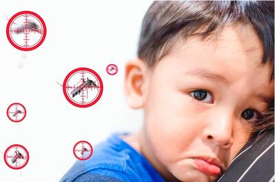 National Dengue Day 2023: Causes, Symptoms and Tips to Prevent Mosquito-borne Disease